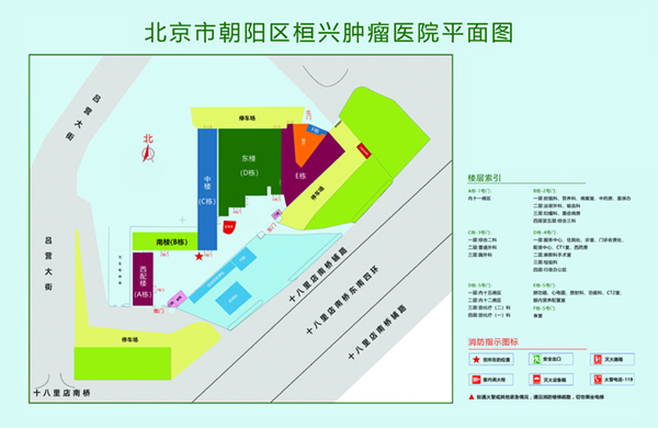 男人用坤捅女人屁股北京市朝阳区桓兴肿瘤医院平面图